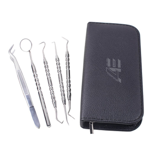 Juego de 5 Kits de Higiene Dental al por Mayor, de Acero Inoxidable Plateado, Reutilizables, para Limpieza Dental y Relleno de Dientes - Product Image 3