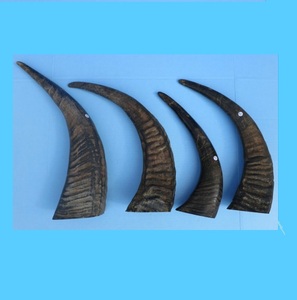 Cuerno de materias primas vendedor - Product Image 2