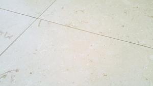 Azulejos de Piedra Caliza de Jerusalén Fossil de Alta Calidad, Modelo de Lujo, Corte Personalizado, Nuevo, Hecho en Turquía, CEM-P-62-12 - Product Image 6