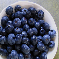 Verse zoete blauwe bessen - Topkwaliteit 10kg verpakking ISO 22000 gecertificeerd 2 jaar houdbaarheid