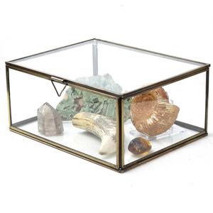Vitrina de cristal con marco de latón para almacenamiento de cristales y fósiles - Product Image 1