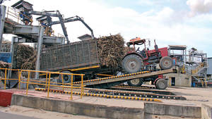 Melaza de alta calidad/melaza de caña de azúcar Lirio - Product Image 4