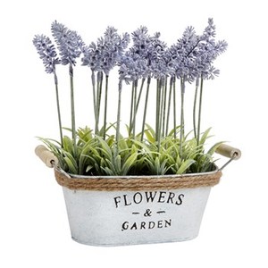 Baignoire ovale blanche rustique pour fleurs de printemps, boîtier en fer en métal, pas cher - Product Image 1