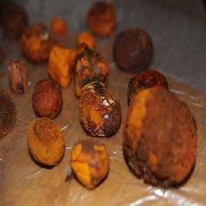 100 % naturel, calculs biliaires de bovins et de vaches entiers, CHINE - Product Image 1