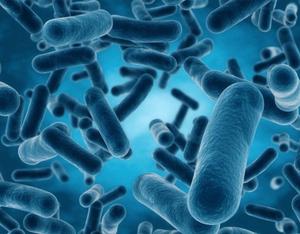 Suplemento Probiótico Bacillus Clausii de Grado Alimenticio 1 X 10*9 Esporas/gramo Producto Más Vendido - Product Image 4