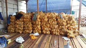 Vente en gros de noix de coco Mature, Semi-coquille, avec le meilleur prix Ms Holiday - Product Image 4