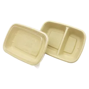 Bao Bì Thực Phẩm Bột Giấy Compostable Hộp Dùng Một Lần Với Nắp Rõ Ràng