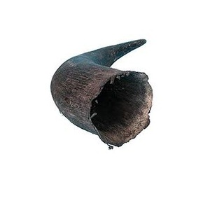 Meilleure pièce décorative en corne de taureau pour la décoration de table et de mur, longue corne de bœuf naturelle, corne de buffle pour la décoration de la maison - Product Image 5