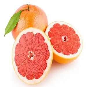 葡萄柚油柑橘Paradisi油印度批发价格的葡萄果油制造商