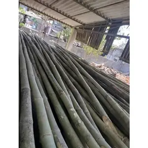Polo di bambù del fornitore per l'esportazione in Vietnam/Ms. Esther (WhatsApp: + 84 963590549)