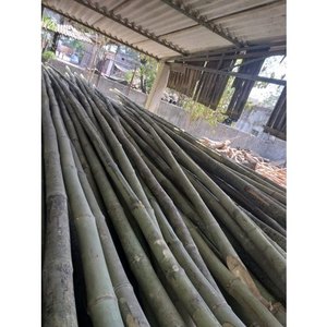 Fournisseur de poteaux en bambou pour l'exportation au Vietnam/Ms. Esther - Product Image 1
