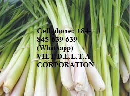 ตะไคร้แช่แข็งจากเวียดนาม/WHATSAPP: + 84-845-639-639 - Product Image 2