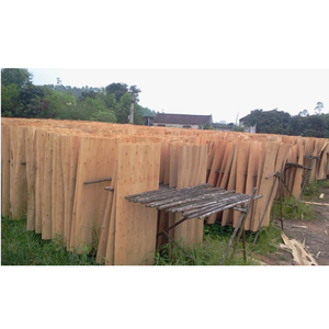 La mejor oferta de Vietnam eucalipto/Acacia core chapas para madera contrachapada de la venta caliente - Product Image 1