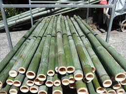 Fournisseur de poteaux en bambou pour l'exportation au Vietnam/Ms. Esther - Product Image 6