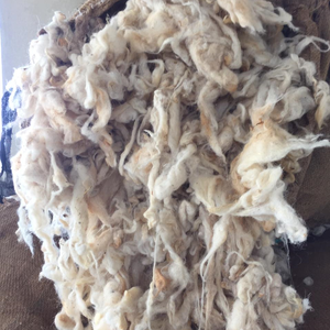<strong>Raw</strong> 100% <strong>wool</strong> fiber white scoured <strong>sheep</strong> zhr long fleece 32 clipped combed t5000 90% + - Product Image 1