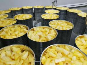 Piña Enlatada en Rodajas (1/12 porción) Mejor Precio - Product Image 2