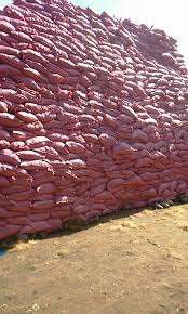 El proveedor líder de Cocopeat/ Growbag Cocopeat de Vietnam-Ms: Holiday - Product Image 4