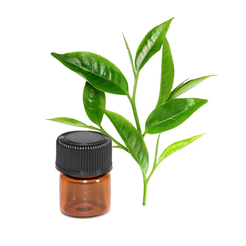 Aceite de árbol de té con beneficios de aromaterapia de Grado Superior puro 100% para fragancias de perfume a precio mayorista de India