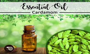 Meilleurs prix pour l'huile essentielle de graines de cardamome pure distillée à la vapeur et certifiée GMP en gros produit de haute qualité en Inde - Product Image 3