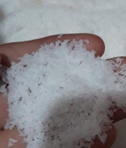 เครื่องขูดมะพร้าวราคาถูกที่สุดจากเวียดนาม - Product Image 4