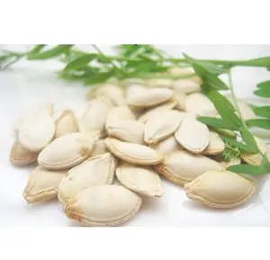 Pumpkin Seed Oil Powder (Omega-6)