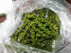 Pimienta verde de gran calidad de Vietnam - Product Image 5