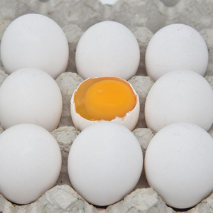 fertile chicken eggs - Product Image 1