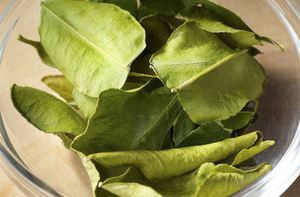 LIMÓN/LIMA DESHIDRATADO al Mejor Precio - Product Image 6