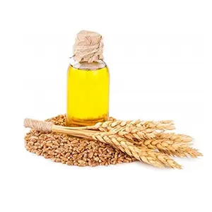 Wheat Germ Oil in Bulk