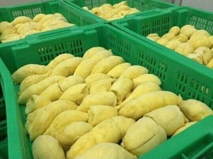 Ri6 endurérien du Vietnam, pays des rêves, Fruits, Premium, collection - Product Image 4