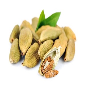 GMP Certified Pure Cardamom Essential Oil 100ml <b>Bottle</b> OEM Supplied in India Skin Usage with Seed and Leaf Ingredients - Product Image 2