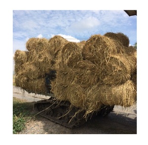 Dried Rice Paddy <b>Straw</b> <b>Bales</b> for Sales - Product Image 3