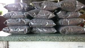 BAT GUANO-fertilizante orgánico, alta calidad, de VIETNAM, WHATSAPP: + 84-845-639-639 - Product Image 6