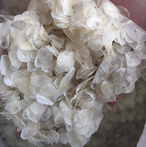 Tedarikçisi kurutulmuş balık pulu-İhracat balık pulu fabrika fiyat Ossein balık terazi - Product Image 4