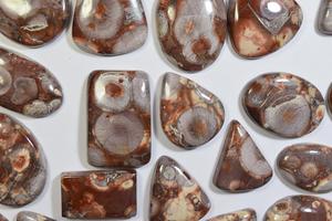 Cabochon de pierre précieuse naturelle, jaspe œil d'oiseau, ample, vente en gros, - Product Image 3