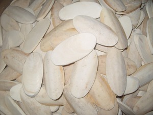 Os de seiche entier pour mâcher des oiseaux - Product Image 4