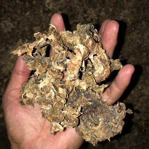 ¡El mejor precio para ti! Pulpa de piña seca, exporta desde VIETNAM con precio competitivo y alta calidad, 2022 - Product Image 2