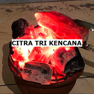 INDONESIA HALABAN CHARCOAL BEST SELLER IN Amorbach GERMANY PRICE PER TON CHARCOAL , BBQ CHARCOAL GRILL 5-15 CM LONG - Product Image 2