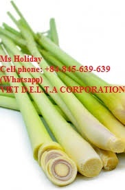 ตะไคร้แช่แข็งจากเวียดนาม/WHATSAPP: + 84-845-639-639 - Product Image 6
