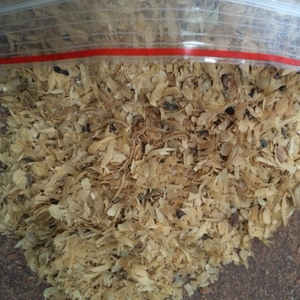 กระเจี๊ยบกาแฟสำหรับขาย - Product Image 3