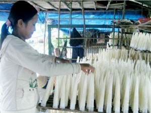 Tripa de Pescado Orgánica/Pescado Seco - Ms: Holiday - Product Image 5