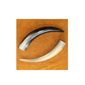 เขาควายและวัวตกแต่ง งานฝีมือจากเขาควายขัดเงาอย่างดี งานธรรมชาติ ราคาขายส่ง คุณภาพเยี่ยม รูปลักษณ์ใหม่ - Product Image 1