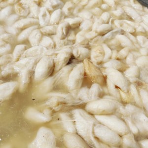 ผ้าไหมคุณภาพสูงที่มาจากธรรมชาติรังไหมสีขาวทำจากวัตถุดิบอินเดียเกรดดีบรรจุภัณฑ์ตามสั่ง - Product Image 4