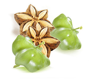 ซาชาอินชิเวียดนามคุณภาพสูง/วันหยุด - Product Image 6