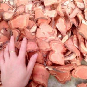 Producto agrícola Premium Caulis Sargentodoxae vietnamita - Product Image 2