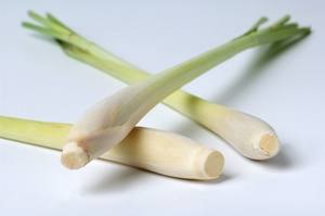 ขายดีปี 2022 ตะไคร้แช่แข็งคุณภาพสูง ราคาดี - Product Image 6