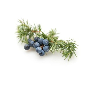 100% Huile essentielle de cade naturelle pure de qualité supérieure certifiée GMP Revitalisant pour la peau Fabricant d'approvisionnement direct en vrac pour diffuseur - Product Image 2