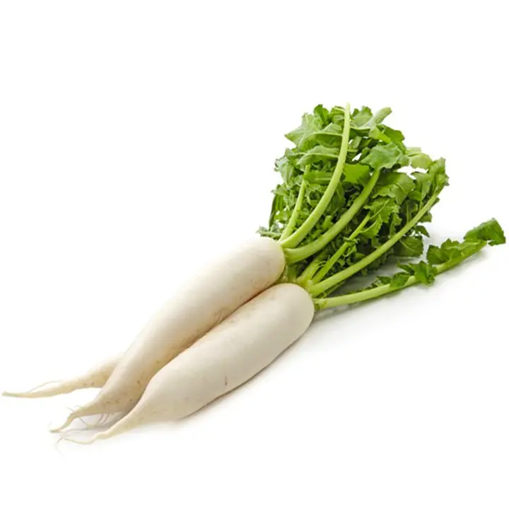 VEGETABLE MARKET PRICE FRESH WHITE RADISH