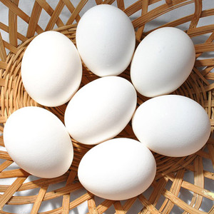 chicken eggs white - Product Image 1