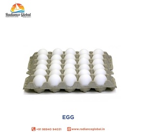 fertile chicken eggs for sale - Product Image 3